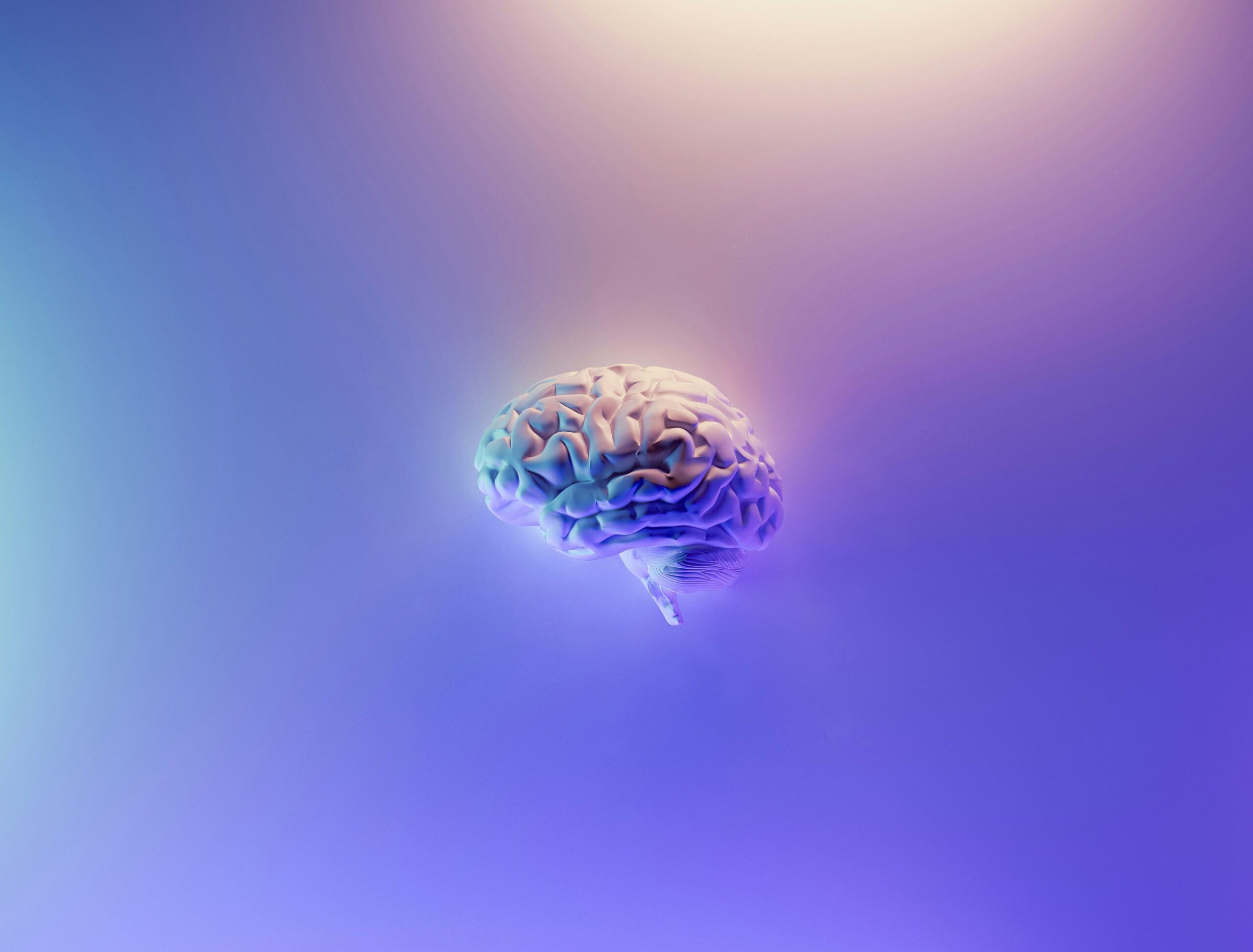 Neurocomunicación para directivos